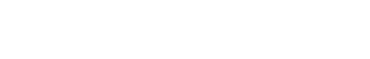Neshanic Station Authority